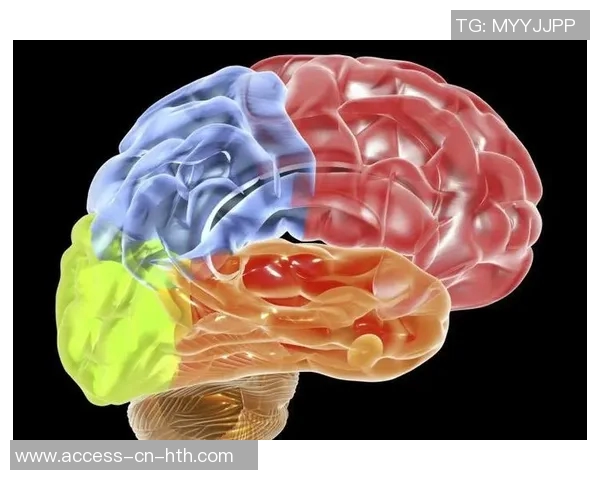 德国足球体系的演变与发展探讨及其对世界足球的影响分析